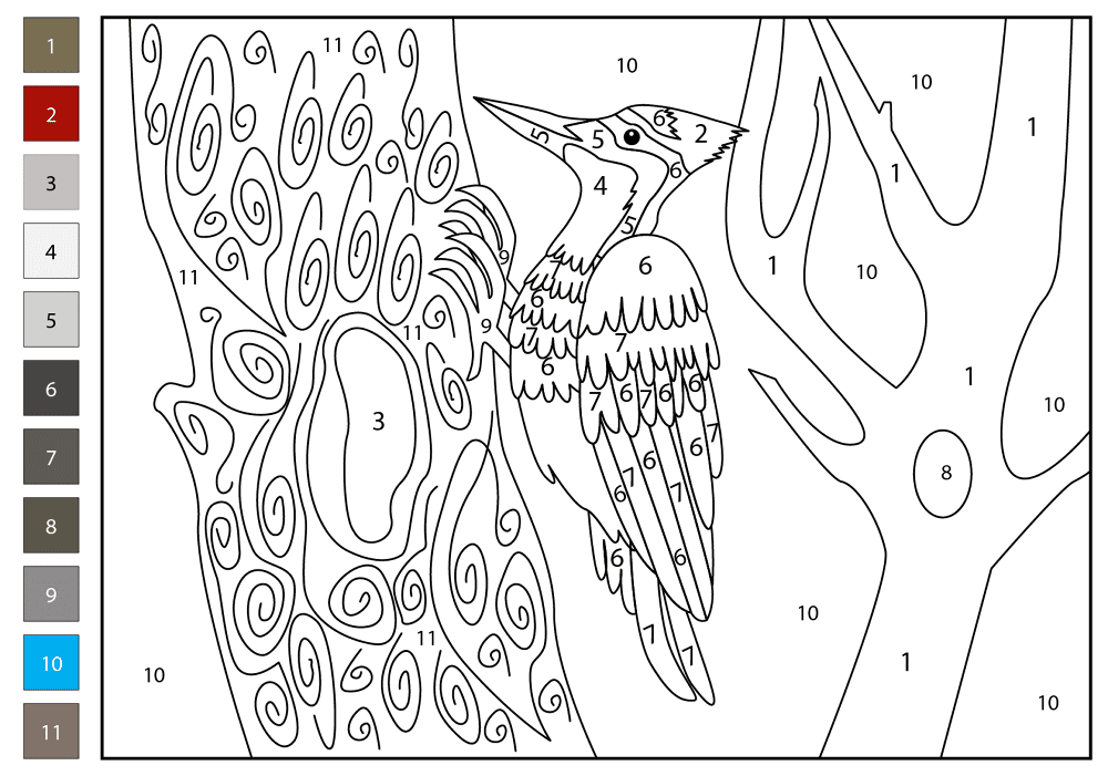 Woodpecker Color By Number Coloring Page Md Coloring Page — Free Printable — free printable coloring page